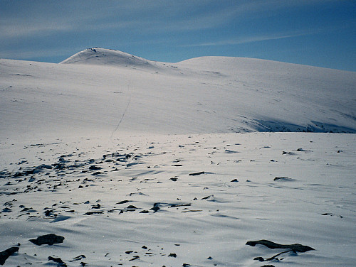 17.04.1999 - Jeg står på Hindnubban Sørvest (1898) og ser tilbake mot Austnubben (2049), som ses oppe til høyre. Mine skispor ses tydelig litt til venstre i bildet.