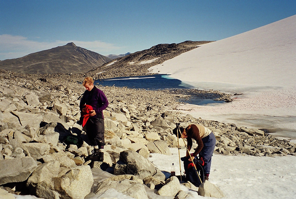 04.09.1999 - I ca 1800 meters høyde, 700 meter øst for Spiterhøe (2033). Utsikt mot øst. Bak til venstre er Ryggjehøe (2142).