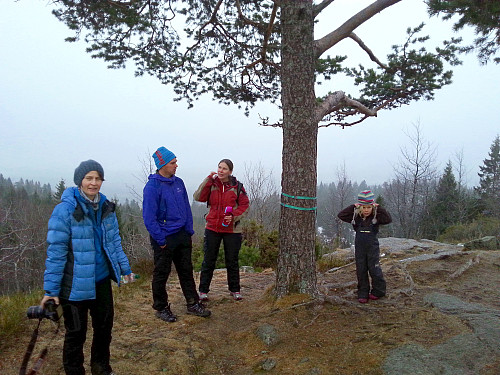 30.12.2013 - Ved furua på toppen av Hagahogget, høyest i Asker kommune. Utsikten skulle liksom ha vært i bakgrunnen der...