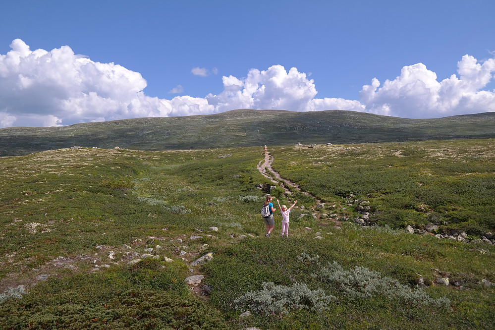 22.07.2014 - På stien, litt etter at vi forlot bilveien ved Småroi. I bakgrunnen, midt i bildet, ses dagens mål: Borgsjåbrotet (1485).