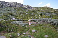 23.07.2014 - På stien opp mot Gavlen (1392). Stien går opp mot den grønne knausen oppe til høyre, og det var øverst på denne haugen at Julie tråkket på jordvepsebolet.