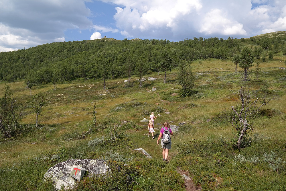 24.07.2014 - Vi er på vei opp siste bakken til toppen Dusehesten (1137). Den svære kampesteinen som er selve toppunktet på Dusehesten ses mot blå himmel, øverst og litt til venstre for midten av bildet.