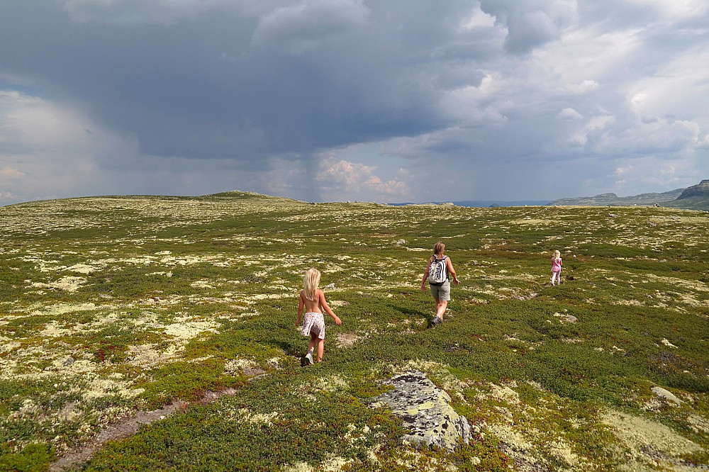 24.07.2014 - I meget lettgått og behagelig terreng på vei til Dusetind (1177), som ses bak til venstre. Den mørke skya i bakgrunnen ga fra seg et par tordenskrall og var på vei mot oss, så litt stressa var jeg på dette tidspunktet. Heldigvis døde denne regnbygen ut før den nådde oss. 