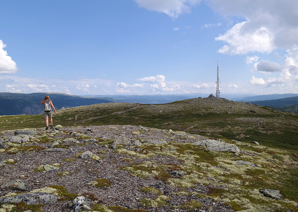 25.07.2014 - På det vestre toppunktet på Gloppehovda (1185). Til høyre er det østre punktet, hvor toppvarden også var plassert.