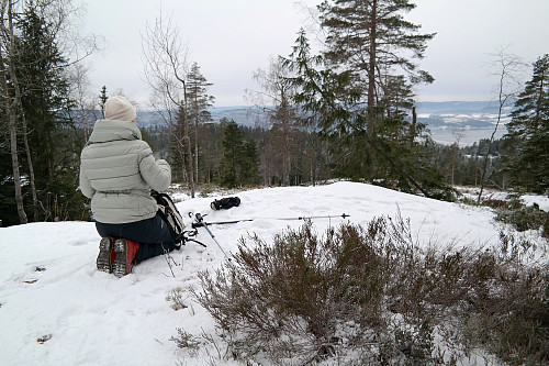 28.12.2014 - På Villingstadåsen (357). Litt av Drammensfjorden ses nede til høyre.