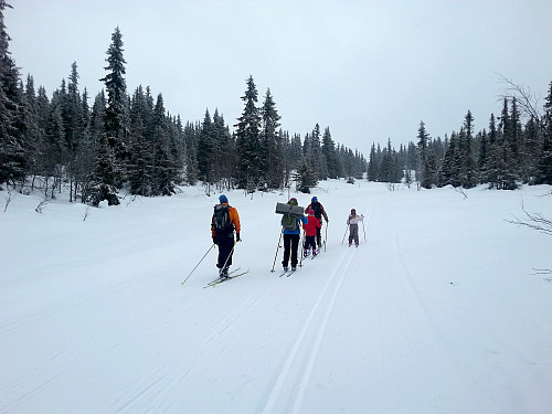 28.02.2014 - I skiløypa på vei opp mot Skardåsen (1071). Vi nærmer oss Gapahukene, som ligger i skogen oppe til høyre.