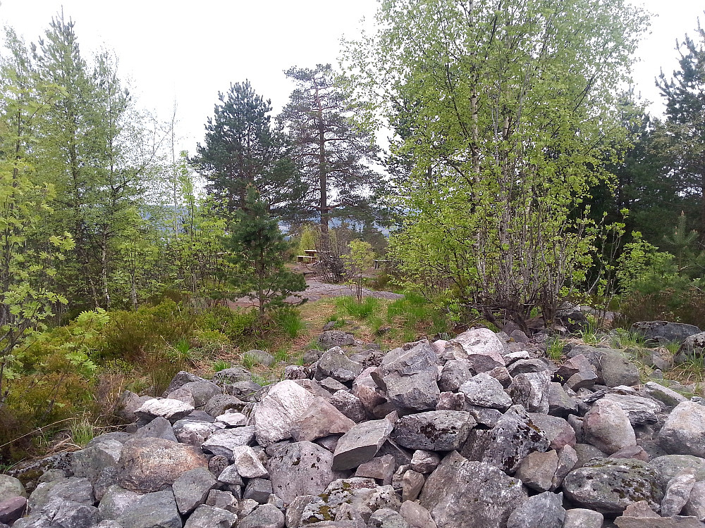 15.05.2014 - Steinrøysa på toppen av Vardåsen (320), i Gjerdrum kommune. Eneste topp i denne kommunen med pf over 100 meter.
