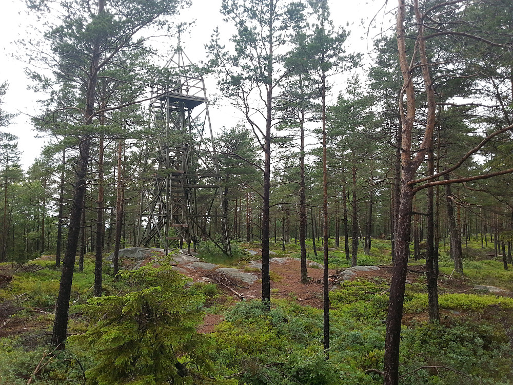 05.06.2014 - Tårnet på toppen av Stikkaåsen (149), nordvest for Sarpsborg.