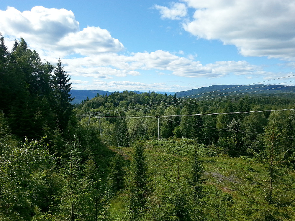 29.06.2014 - Kulen med skog midt i bildet er Øvre Maurås (307). Jeg står oppe i lia nordvest for Bondiseteråsen (366).