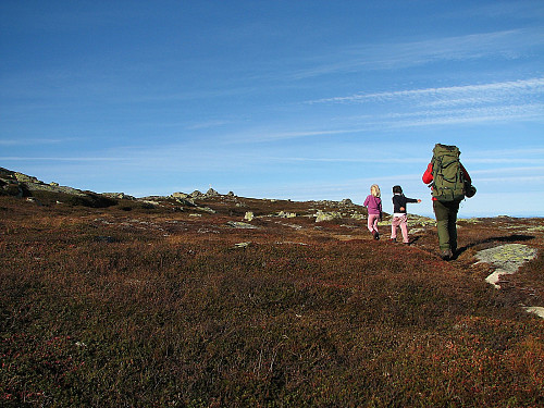 Toppen av Svarttjernskollen i sikte. Julie, Linn Therese og Morten langer ut de siste meterene.