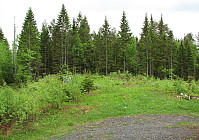 25.05.2014 - Inne i skogen der befinner høyeste punkt på Gruvåsen (415) seg. 