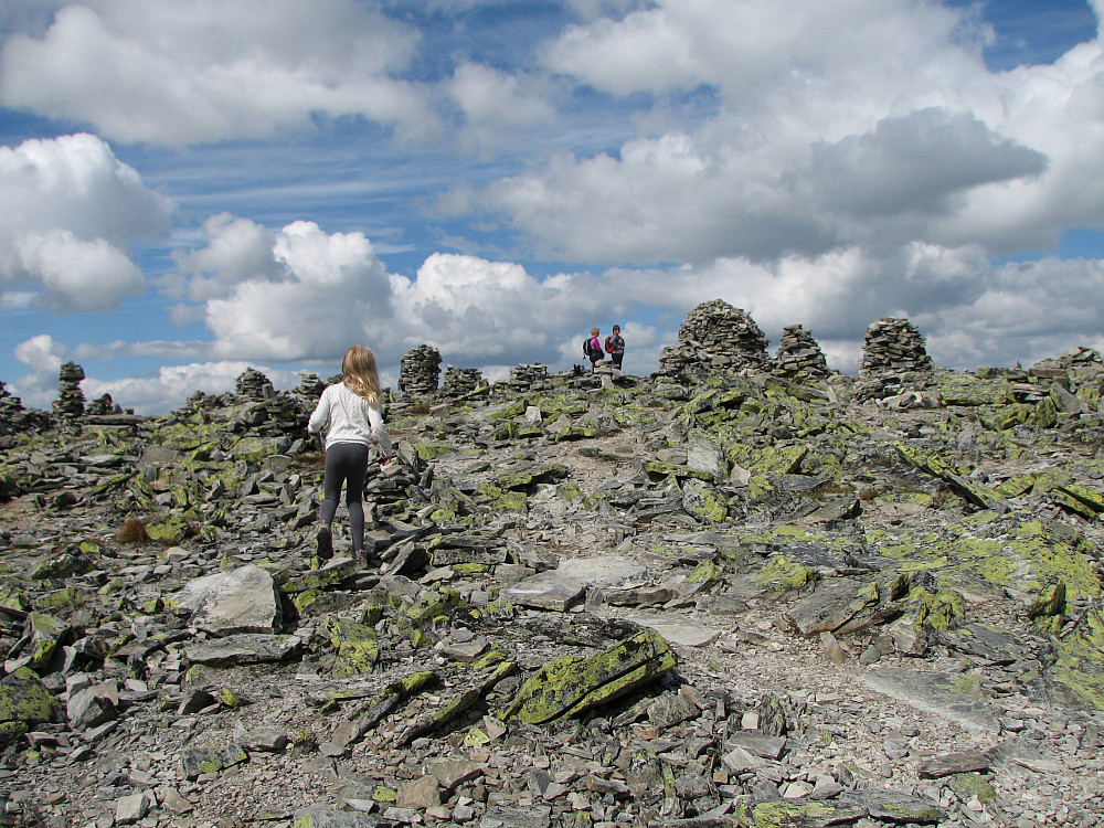 08.06.2014 - Frida ser havet av varder på toppen av Muen (1424). 