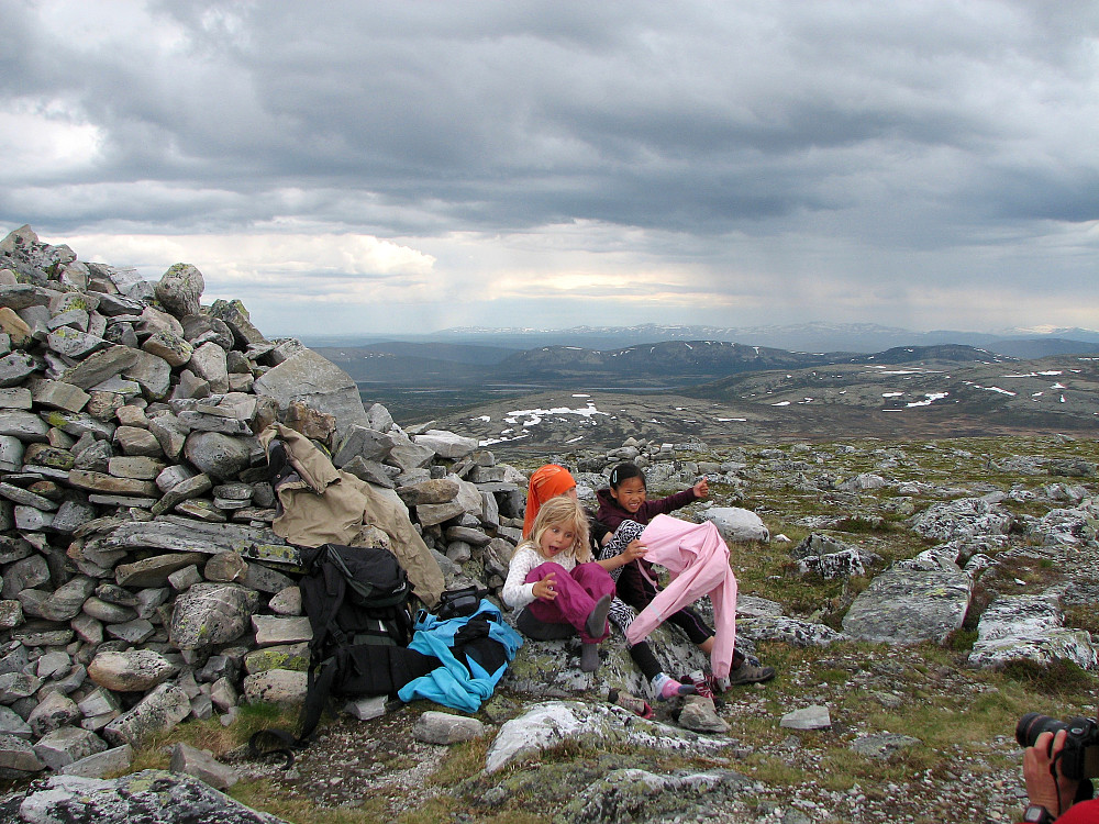 08.06.2014 - På toppen av Søre Bølhøgda (1258). Bak truer regnbygene.