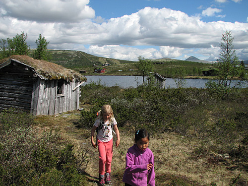 09.06.2014 - Vi måtte bortom denne falleferdige, lille hytta som lå få meter fra grusveien til Svartfjellsætra. Flaksjøen er like bak. Muen (1424) stikker opp bak til høyre.
