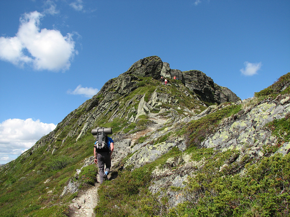 09.06.2014 - Morten og Frida (er rett foran Morten) på vei oppover mot Svartfjellet (1154). Linn Therese og Julie er oppunder hammeren høyere oppe.