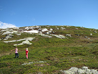nils_img_6240.jpg