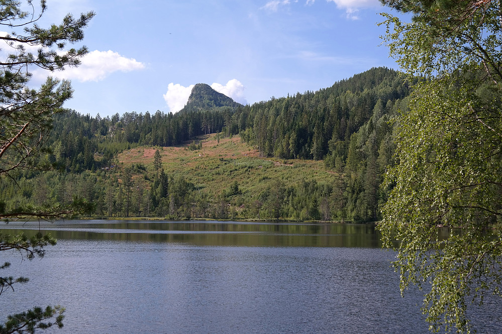 21.07.2014 - Tekslehogget (721) sett fra grusveien mot Hovet. Vannet i forgrunnen er Tovstjenn (400 moh).