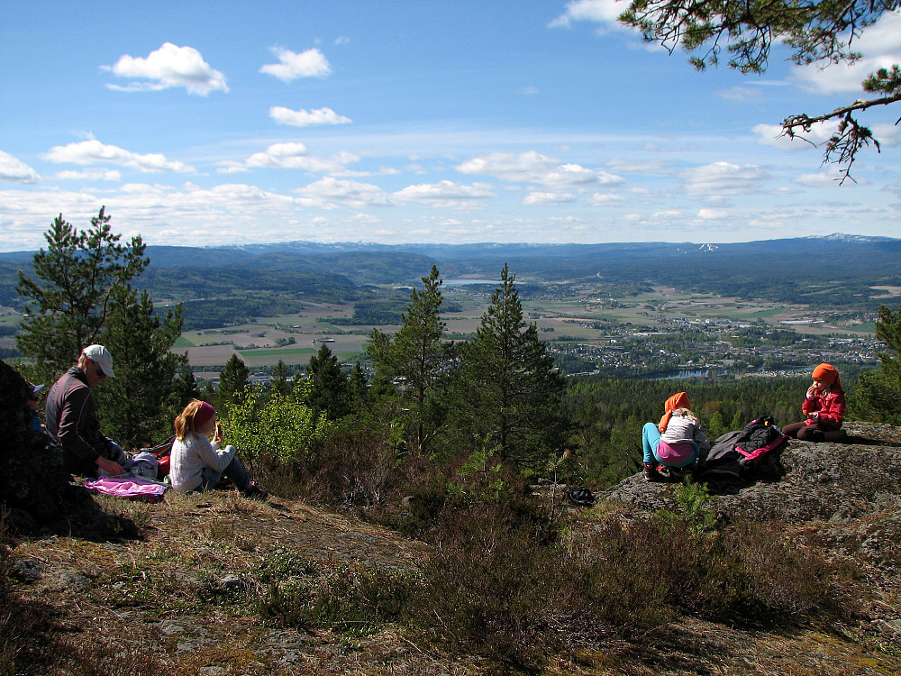 04.05.2014 - Utsikt mot sørvest fra toppen av Røysåsen (441). Nede til høyre ses Drammenselva og Hokksund.