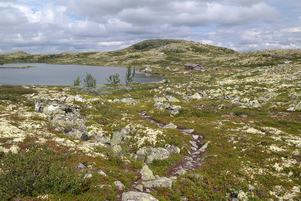 27.07.2014 - Vi nærmer oss vann 1142 moh. Rett fram ses toppen Nordøst for Sigridfjell (1192).