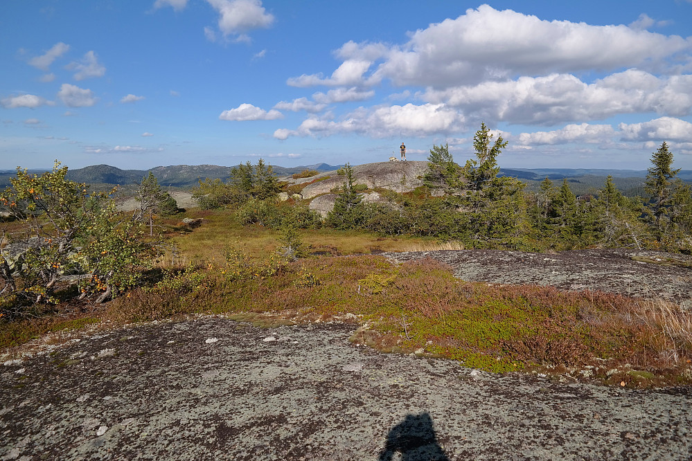 04.09.2014 - Øyvind står på toppen av Ørnenuten (811). Bildet er tatt mot nordøst.