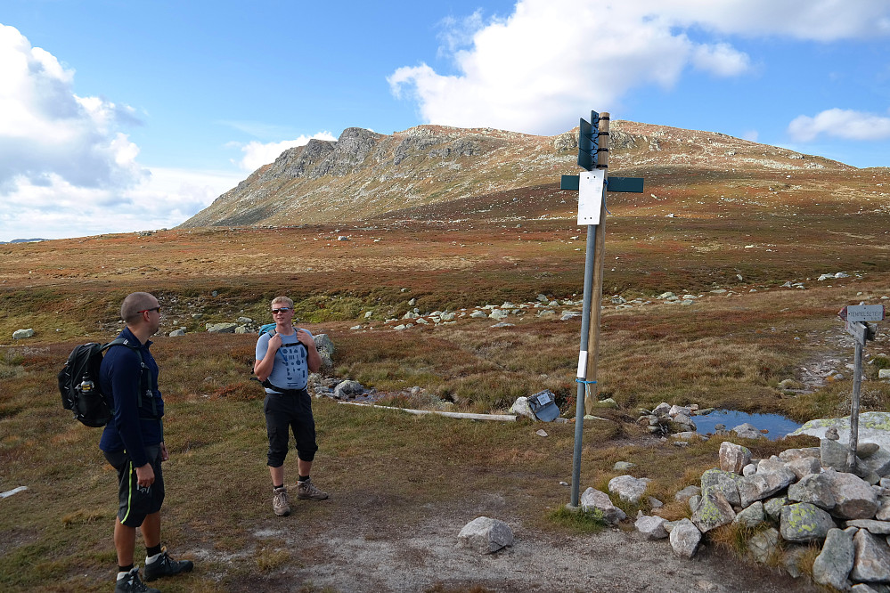 13.09.2014 - I stikrysset i sørenden av Raudmyra, hvor stien opp fra Tempelseter deler seg og en del går til Høgevarde, og den andre mot Toveseter i vest. Fjellet bak er Ranten (1419).