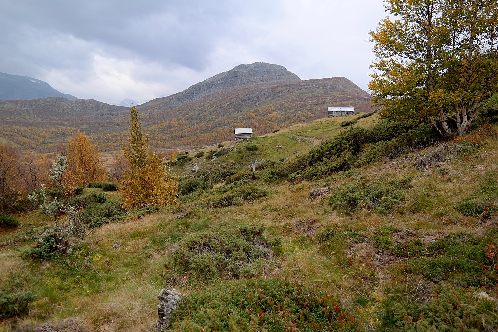 20.09.2014 - Geithøe (1306), dagens hovedmål, sett fra nordøst. Setra midt i bildet er Søre Kvammesætre.