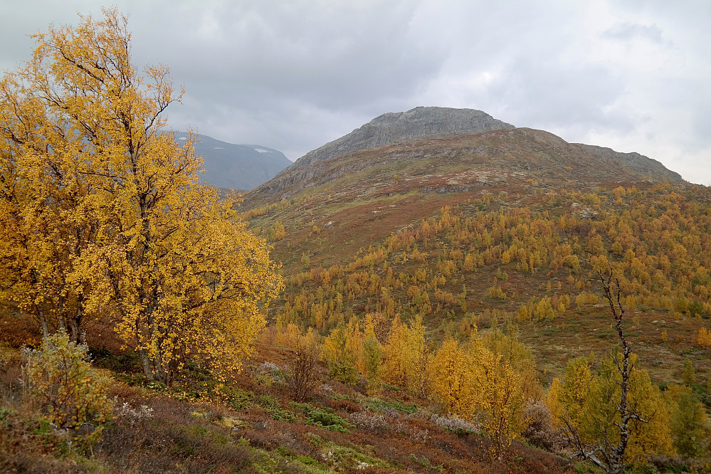 20.09.2014 - Jeg er på vei ned mot bandet mellom Veslfjellet (1096) og Geithøe (1306). Bildet tatt mot sistnevnte topp.