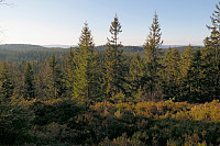 29.10.2014 - Få meter vest for toppen av Brennberget (441) er det brukbar utsikt vestover. Tryvannshøgda (529) sniker seg med her også, langt bak til venstre.