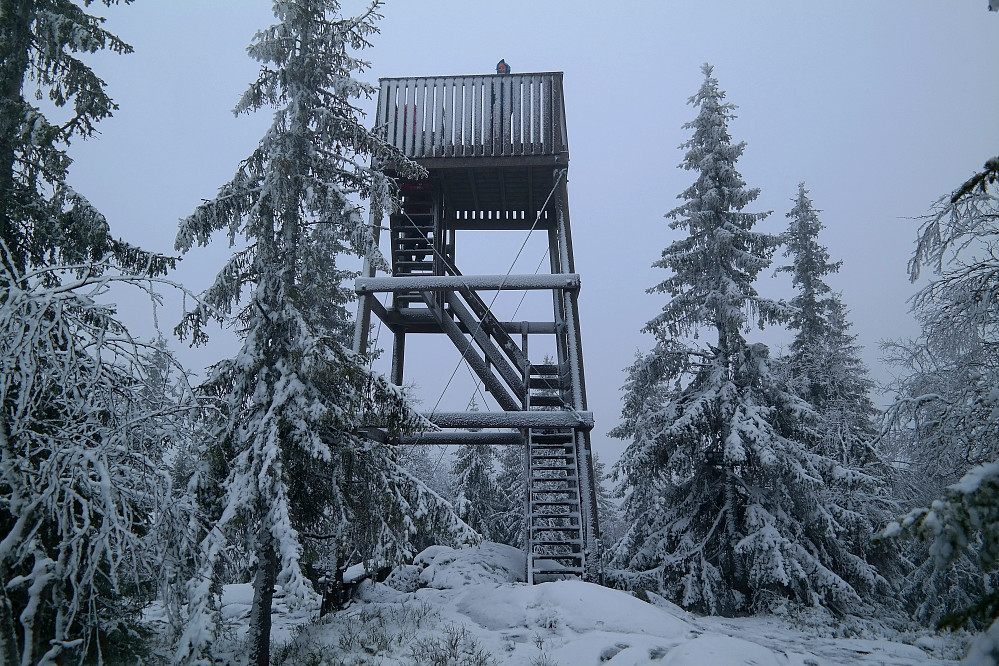 08.11.2014 - Julie i tårnet på toppen av Svarttjernshøgda (717). De andre er der oppe de også. Det småregnet og sluddet mesteparten av tiden vi var på tur.