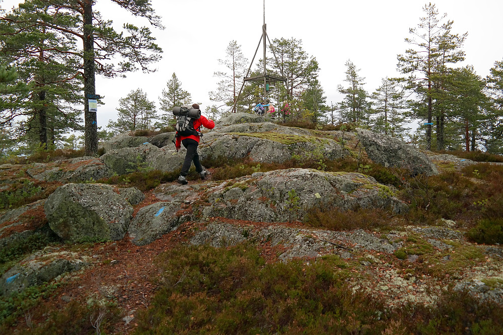 09.11.2014 - Toppen av Røysa (448).
