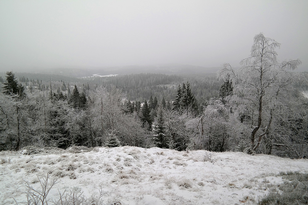 29.11.2014 - Litt før jeg kom opp på Presteseteråsen Øst (568) åpnet skogen seg og jeg fikk noe utsyn østover. Men nedbør truet ikke langt unna...