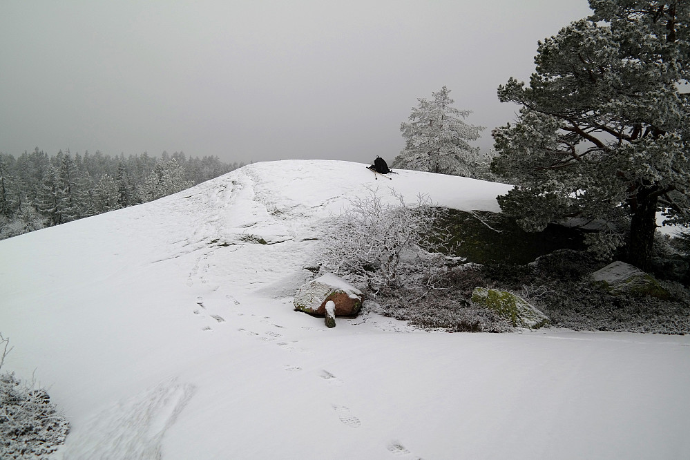29.11.2014 - Denne glatte svabergkulen er på kartet markert som høyeste punkt på Slettfjell/Preste-Slettåsen (563). Bildet er tatt mot nordvest, og her hadde utsikten vært temmelig mye videre om været ikke hadde vært så tungt og grått.