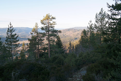 04.01.2015 - Utsikt mot nordvest fra ryggen nord for toppen av Hvittingen (404).