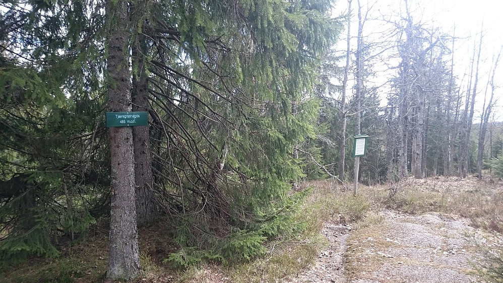 Toppunktet på Tjæregra(v)shøgda