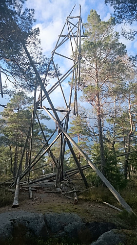 Mjærskaukollen