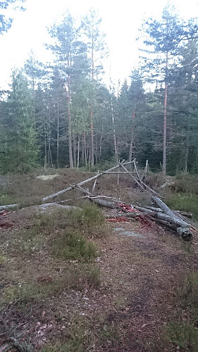 Furuåsen