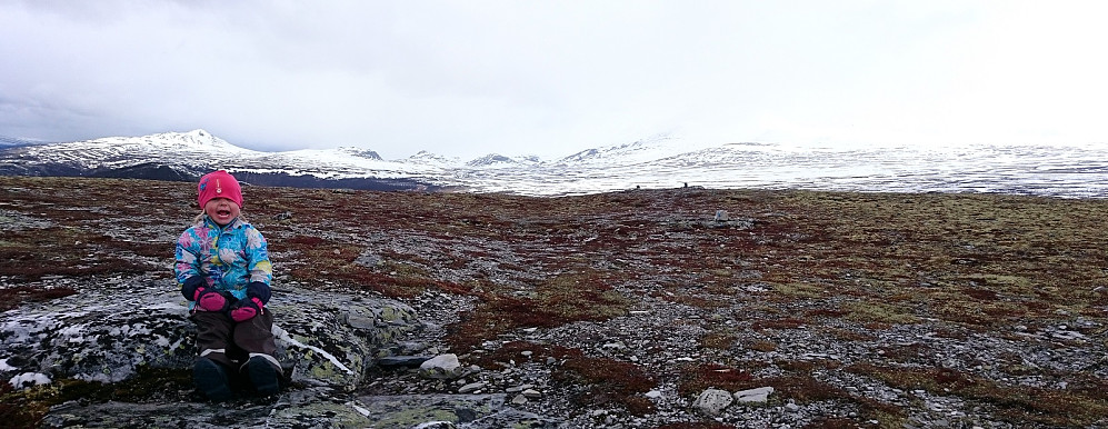 Petra på toppen av Ranglarhøe