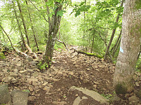waaktaar_20150807_55c5090c8d4e0.jpg