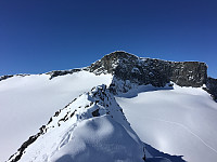 waaktaar_20160411_570be947d4a0a.jpeg