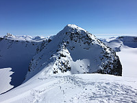 waaktaar_20160411_570be9c310f3e.jpeg
