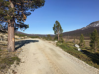 waaktaar_20160527_574772212ce96.jpeg