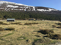 waaktaar_20160527_574772b17ed1c.jpeg