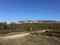 waaktaar_20160527_574772fce06ab.jpeg