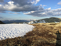 waaktaar_20160531_574e093e637cf.jpeg