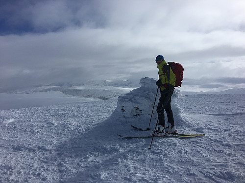 Halvfarhøe