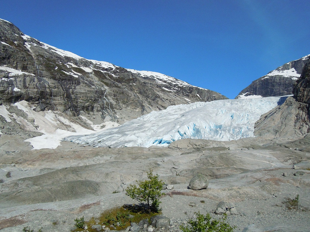 Nigardsbreen!