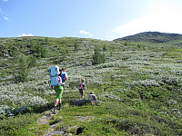 waaktaar_img_0296.jpg