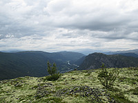 waaktaar_img_0616.jpg