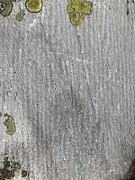 fjellet1974_20180622_5b2d47b748be9.jpg