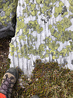 fjellet1974_20180622_5b2d47baba423.jpg